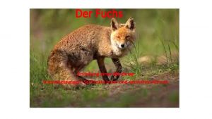 Der Fuchs Erstellung einer Mindmap Voraussetzungen Sachtexte lesen