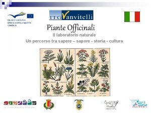 Piante Officinali Il laboratorio naturale Un percorso tra