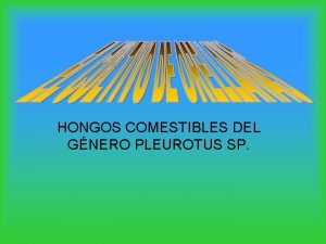 HONGOS COMESTIBLES DEL GNERO PLEUROTUS SP Definicin Hongos