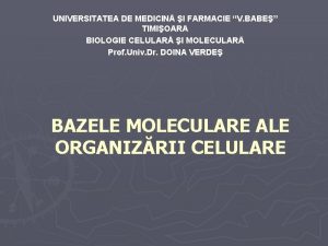 UNIVERSITATEA DE MEDICIN I FARMACIE V BABE TIMIOARA