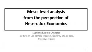 Meso level analysis from the perspective of Heterodox