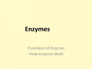 Enzymes Functions of Enzymes How Enzymes Work Enzymes