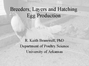 Breeders Layers and Hatching Egg Production R Keith