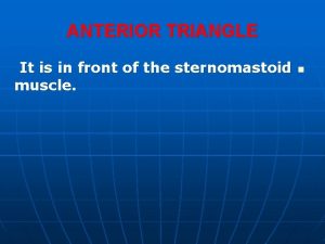 ANTERIOR TRIANGLE It is in front of the