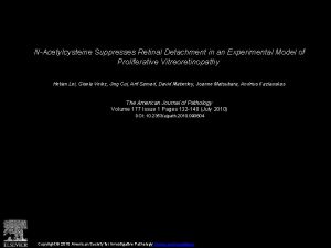 NAcetylcysteine Suppresses Retinal Detachment in an Experimental Model