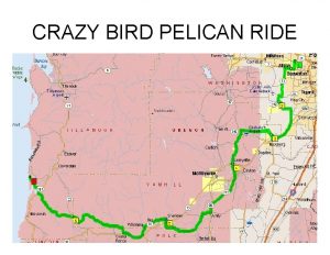 CRAZY BIRD PELICAN RIDE Gooneys to Petrich General