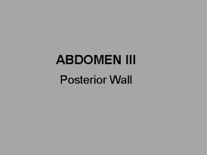 ABDOMEN III Posterior Wall STERNAL PORTION ON TI