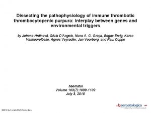 Dissecting the pathophysiology of immune thrombotic thrombocytopenic purpura