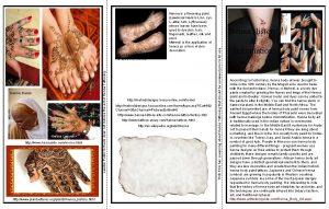 Henna Fields Henna Leaves http www hennainfo commoroc