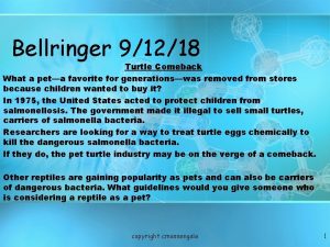 Bellringer 91218 Turtle Comeback What a peta favorite