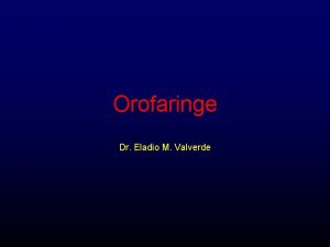 Orofaringe Dr Eladio M Valverde Orofaringe Faringe Orofaringe