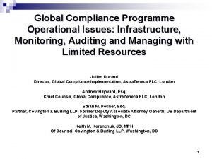 Global Compliance Programme Operational Issues Infrastructure Monitoring Auditing