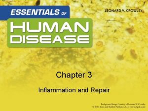 Chapter 3 Inflammation and Repair Learning Objectives List
