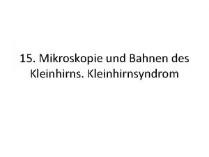 15 Mikroskopie und Bahnen des Kleinhirnsyndrom Funktionelle Gliderung