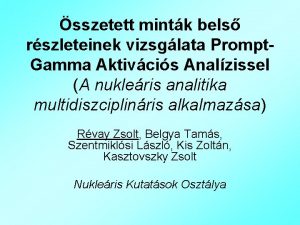 sszetett mintk bels rszleteinek vizsglata Prompt Gamma Aktivcis