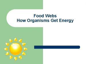 Food Webs How Organisms Get Energy Producers l