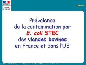 Prvalence de la contamination par E coli STEC