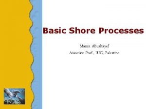 Basic Shore Processes Mazen Abualtayef Associate Prof IUG