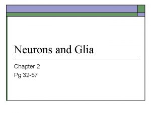 Neurons and Glia Chapter 2 Pg 32 57