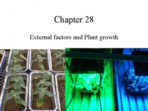 Chapter 28 External factors and Plant growth Nastic