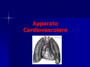 Apparato Cardiovascolare Iapparato cardiovascolare un sistema chiuso costituito