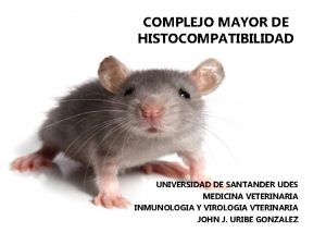 COMPLEJO MAYOR DE HISTOCOMPATIBILIDAD UNIVERSIDAD DE SANTANDER UDES