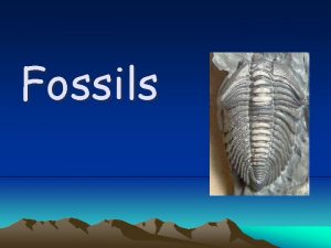 Fossils What is a fossil A fossil is