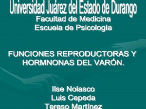 Las funciones reproductoras del varon pueden dividirse en