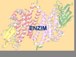 ENZIM ENZIM Berbagai macam reaksi biokimia yang terjadi