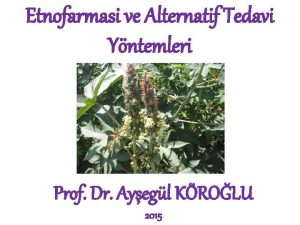 Etnofarmasi ve Alternatif Tedavi Yntemleri Prof Dr Ayegl