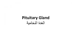 The pituitary gland or hypophysis is attached to