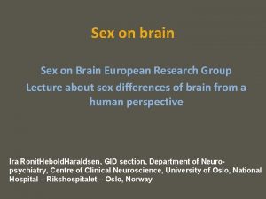 Sex on brain Sex on Brain European Research