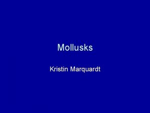 Mollusks Kristin Marquardt What is a Mollusk A