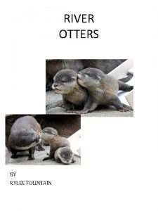 RIVER OTTERS BY RYLEE FOUNTAIN Table of Contents