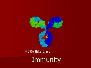 Immunity What is immunity n Immunity is the