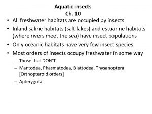 Aquatic insects Ch 10 All freshwater habitats are