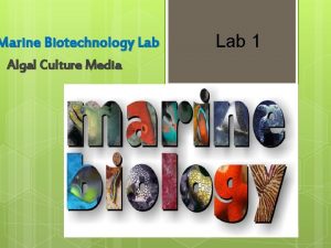 Marine Biotechnology Lab Algal Culture Media Lab 1