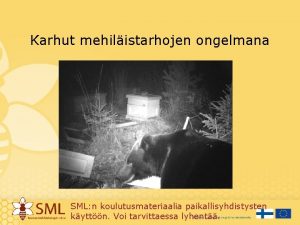 Karhut mehilistarhojen ongelmana SML n koulutusmateriaalia paikallisyhdistysten kyttn