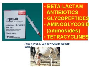 BETALACTAM ANTIBIOTICS GLYCOPEPTIDES AMINOGLYCOSID aminosides TETRACYCLINES Assoc Prof