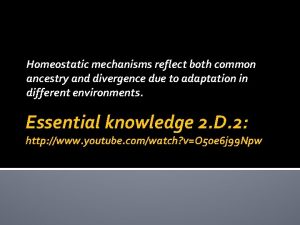 Homeostatic mechanisms reflect both common ancestry and divergence