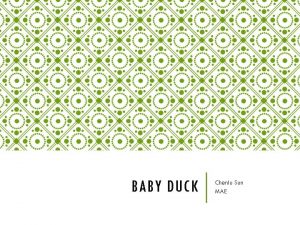 BABY DUCK Chenlu Sun MAE IDEA A baby