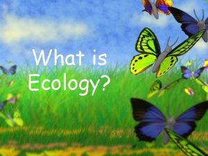 What is Ecology 1 Organisms and Their Environment