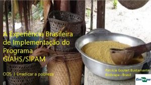 A Experincia Brasileira de Implementao do Programa GIAHSSIPAM