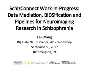 Schiz Connect WorkinProgress Data Mediation BIDSification and Pipelines