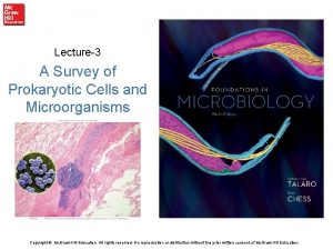 Lecture3 A Survey of Prokaryotic Cells and Microorganisms