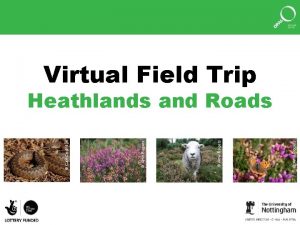 Amy Rogers Carl Corbidge Heathlands and Roads Virtual