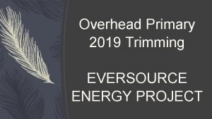 Overhead Primary 2019 Trimming EVERSOURCE ENERGY PROJECT Overhead