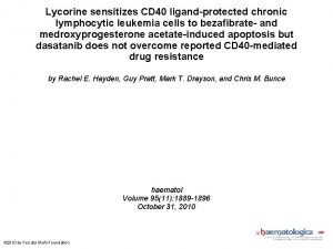 Lycorine sensitizes CD 40 ligandprotected chronic lymphocytic leukemia