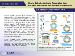 NSF MRSEC DMR11 20901 Hybrid CellLike Vesicular Assemblies