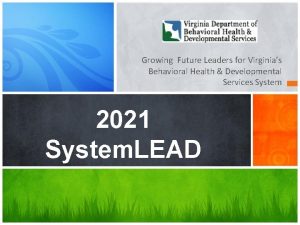 Growing Future Leaders for Virginias Behavioral Health Developmental